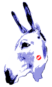 donkey donkey