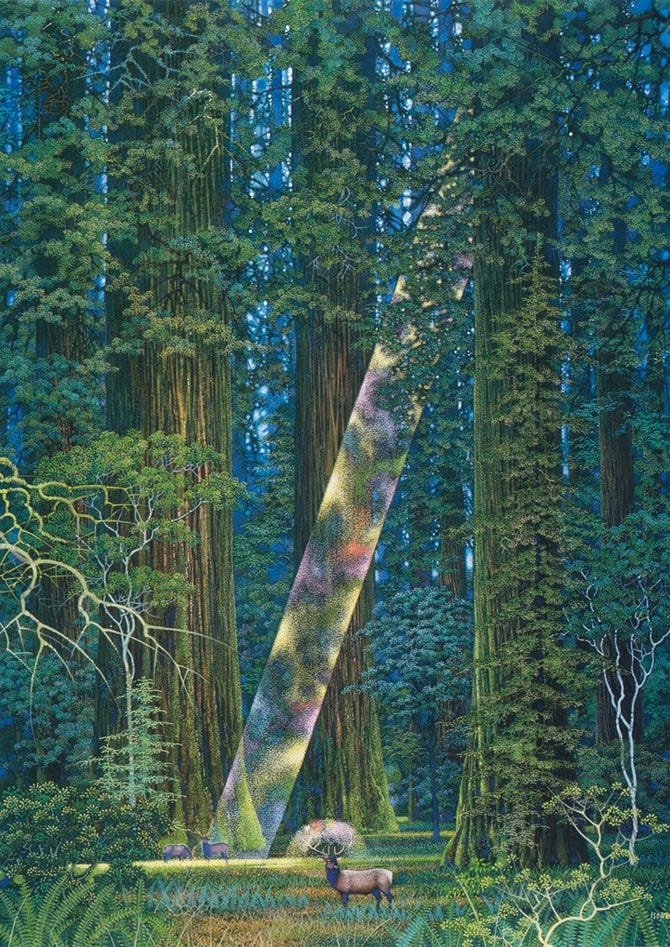 Harry Miller | Substack