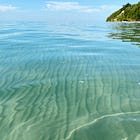 Swimming Lessons: Full Essay