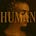 The Human Playbook
