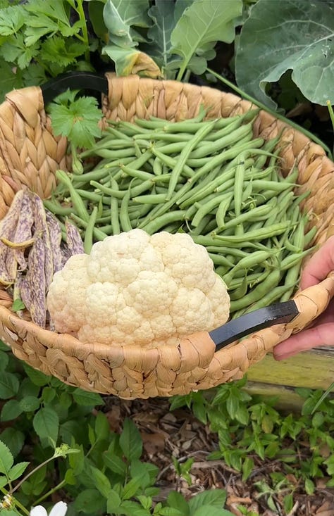Yellow cauliflower, a red strawberry held in a person's hand, and a woven basket with green beans and white cauliflower.