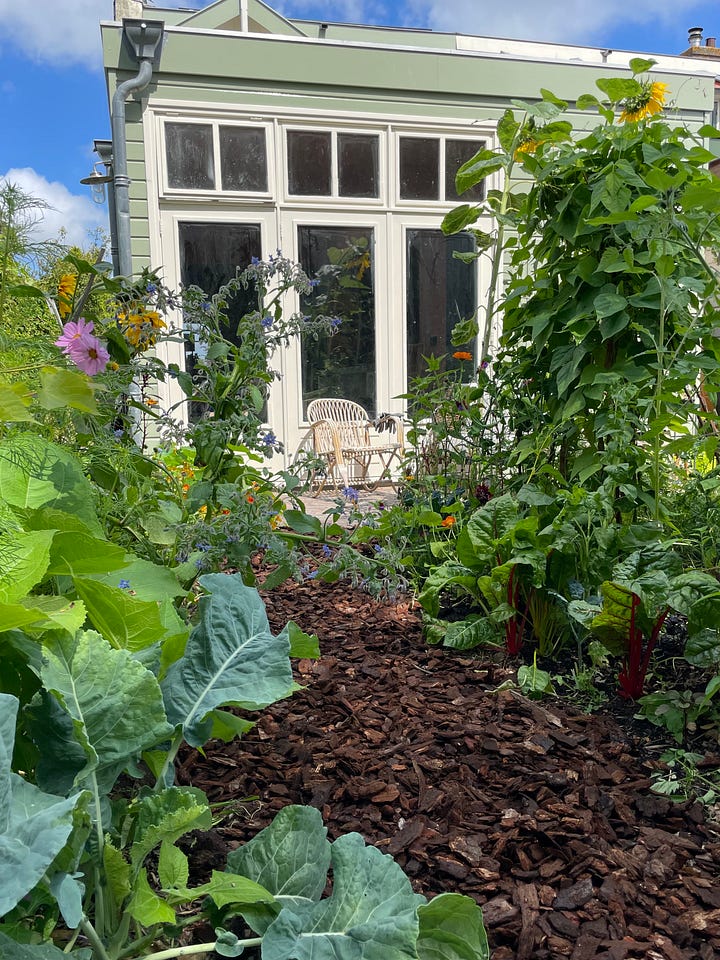 After the tile removal, working with natural succession and feeding the soil with bokashi and vermi-compost