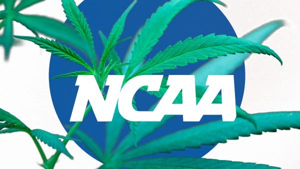 ncaa need to revisit its marijuana policy 2015 ncaa need to revisit its marijuana policy 2015