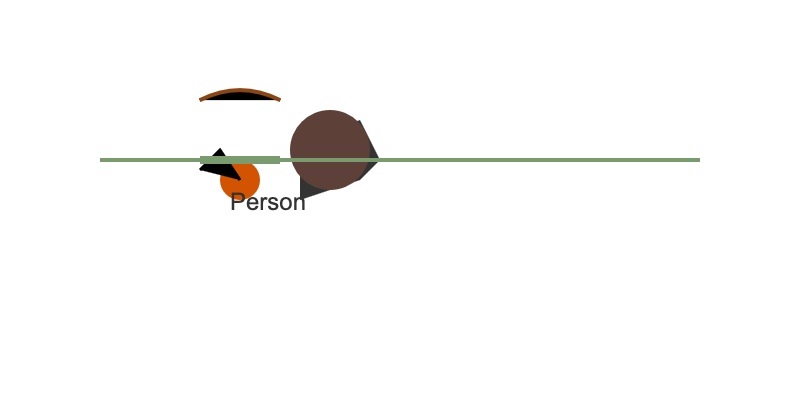 It's a green horizontal line, three abstract black shapes, a brown circle and the word Person