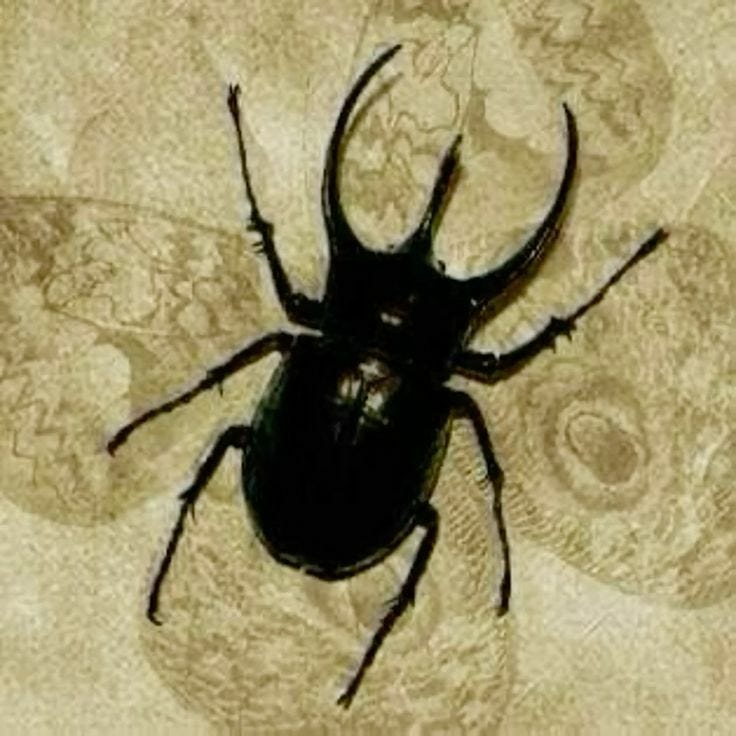 loudlyimplied.cannibalism