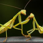 The Common Thread--How Evolution Ensured Its Continuation Down Through the Ages