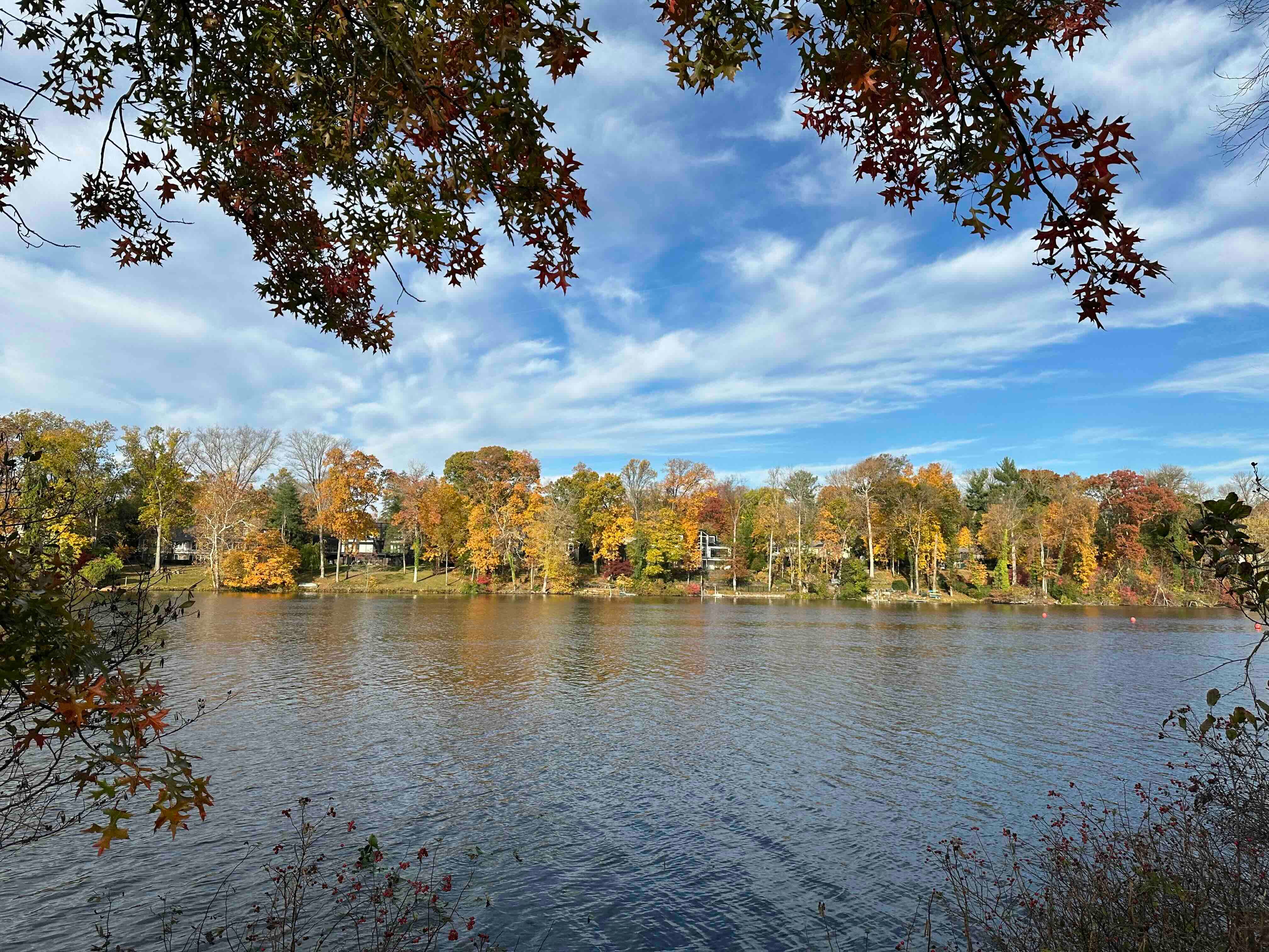 프롭 베팅을 금지하라\, image size:4032x3024