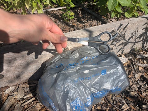 Left Image (Tools and Bag): A gardener holding scissors and a plastic bag, preparing to gather freshly harvested garden produce.  Middle Image (Bag with Herbs): A plastic bag containing freshly harvested herbs and scissors, placed on the edge of a raised garden bed.  Right Image (Bag with Vegetables): A gardener holding a plastic bag filled with freshly picked kale leaves and other vegetables, ready for transport.