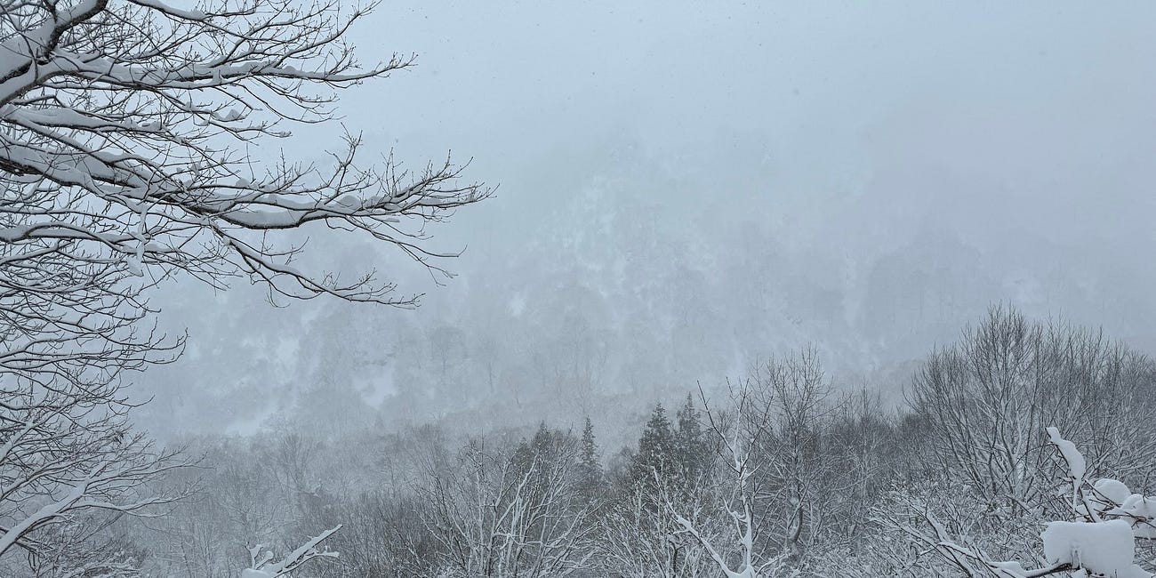 Venturing to 'White Boy Mountain'