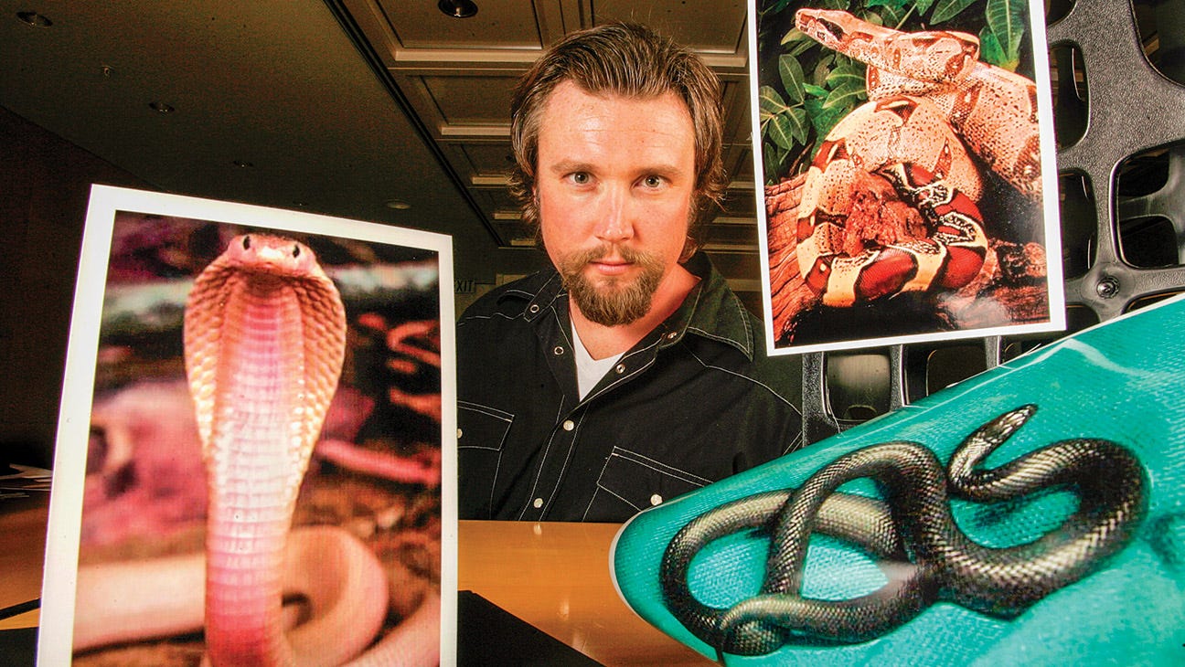 Heff passed out pictures of deadly reptiles during pitches for the film, which would come to define his career.