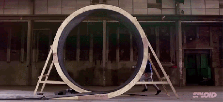 Human Loop the Loop - GIF - Imgur