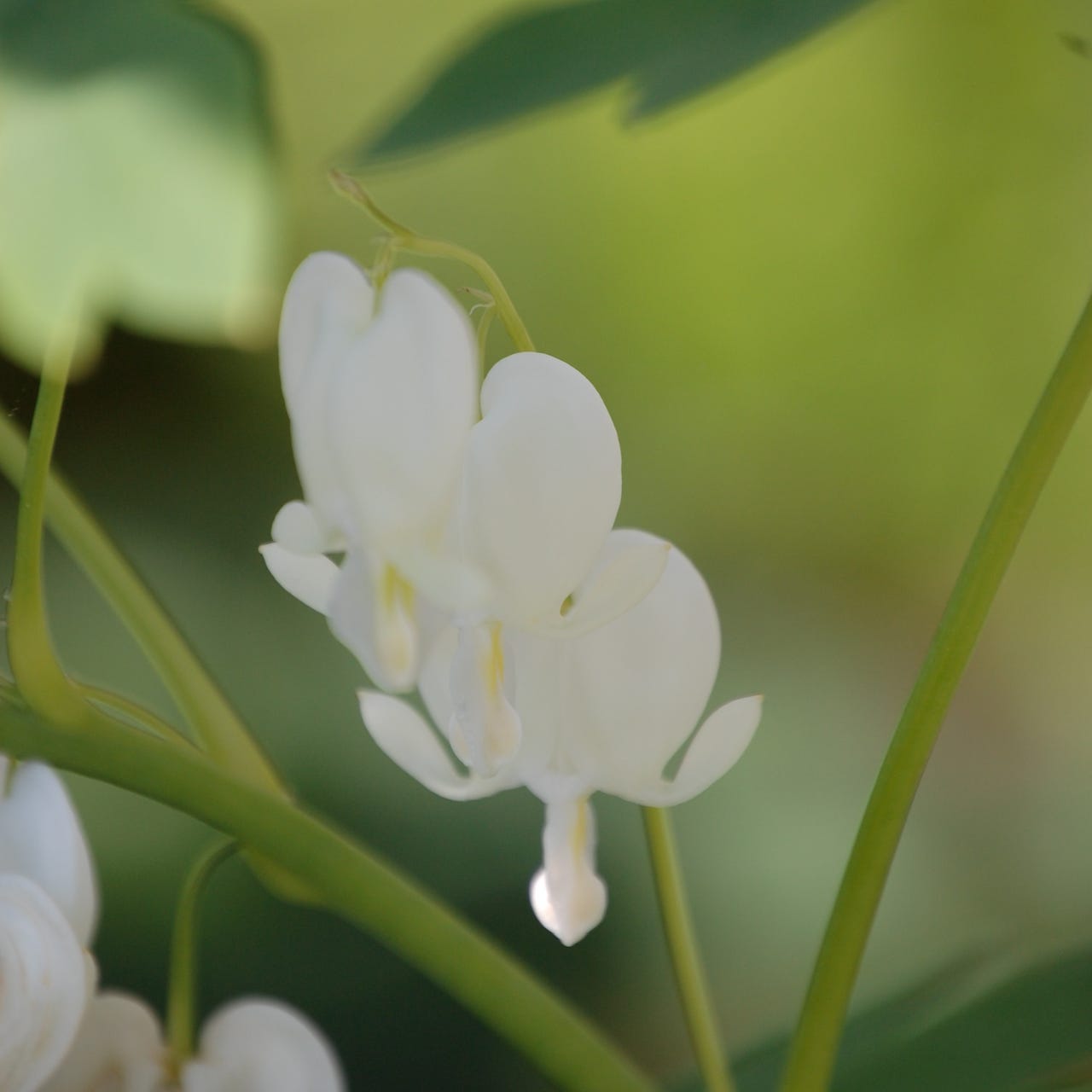 Nina’s Poetry and Travel Substack