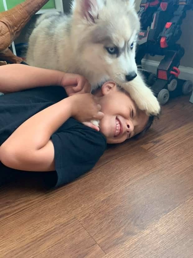 Puppy picture of Harley with my son; last picture before saying goodbye to Harley.
