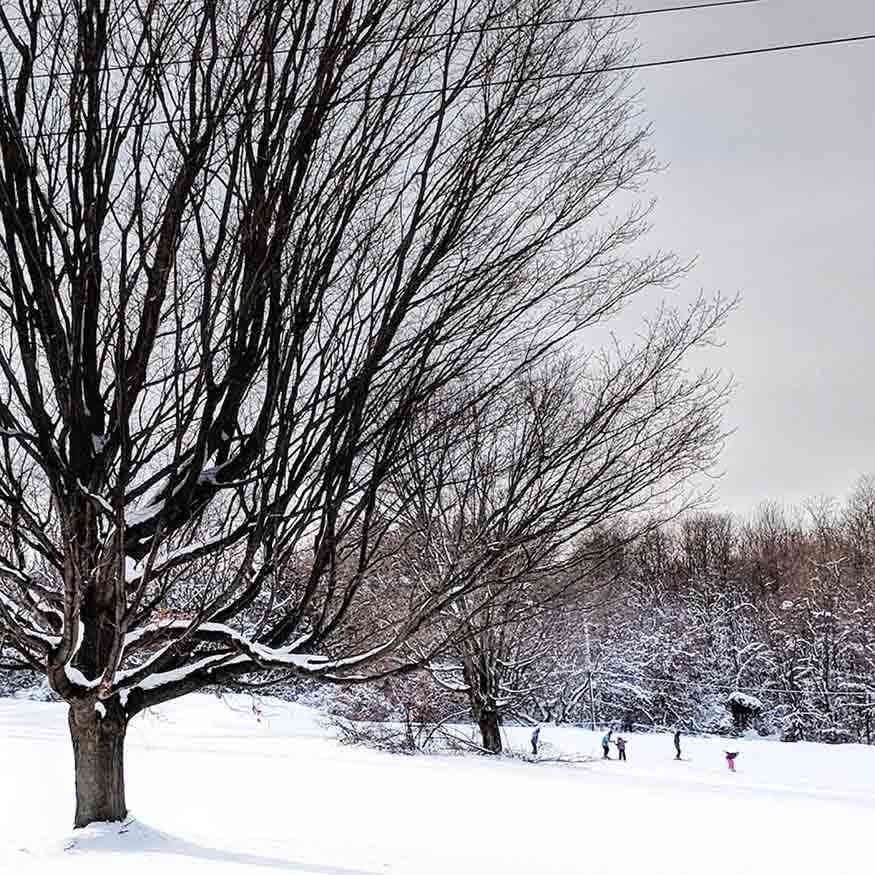 Monroe County Parks Northampton