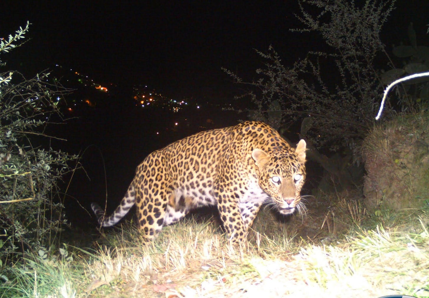 AGAZnRr4NSiCal1nztCaNZBWLh-ridJygaXOJ0b58SqF49Rjeyzci-M2sdYifjJaU-lSG9zWN_Ahvi7nOq3XZ2Jxden8RfFDeO3U1gshEoSMLVuc1o396UPpOM0h4LlNypELskk_Hn_TEqPQJ1atMiUJ6tHkzgLvFdjbjc3Nl1cIJqd6Ryao6pcZ3yL9XETI85Xh3oyM-lZhQGWmKiBsI-fIMw62ea3jJREF-hw3gAVn6t8a1Bo2K8pW-qVY5kAVl639azIdFL_nb7aeN1nKd62NyGltSCe05WWtWLZKEOfOyNAJVr-qt7zqJz1IYS6cxvhwTmG301g2DxEyiFeiHeEfPOw_LS1SErueQNDxPic4SFfads4gcyXQz4ayABMmn9ROv_1QEMkWBwXrpPQ4MxNY_Iufb9PxsI2rFEIinBFR-on4mFtRfvTpk0dClCiYo4RafVvxYodv2XscI33Rdm25uPRUrX42weIGI2hiFN3ECMrnoWuqQIxxeKGuDfOHabQzYXfNHWkBW51fKB7XUwiR5GopkeZaFL70jJlt9QcMO60M6MfDNnGvjqMMcJ5QBL3Ie8WgMffdLxbv1-1u2HEKYPjvSlUlwm38h9HnzIxx45nSHl14gkBJlxKRvfMzhKMAXPo6achucryLeVSgxd-cF68DY6Ndl1LMOlB4wfusNmzUZ3Y73lFKV-TdZ2dD3QDPlP9DC4-sKymxWZRRuHO_7YUN-cXXCXXztqKmXfYno68bjsatZ1s5-LHxjD-RGI4A_FFGbhYWrctgJ1wmUF9I_klBfho4xE1g-Gbcus3M2HfV9lEUun4YXnHXPeq1OLdR6kUpco6LLbvE5Sz2C7csIyE_NFQtXQuThzvSfLhtW3jSZaO6py6vrbpcZAqQUD8_jletMoxezcBTHUacdOrcGgSmFL0Kgybh7dHpRMweFACsSFvsVyigMCnCyAbnoiMBthUytoMaL4hB6ADjve6PM_K7xbpmp-8rO0asnHNT5x6frf7JCaFO4X1F13aZ9lclf8gRQGSMWsJbhkbq31r1j7HmNp6azWg-bn3_vOsqRzm9bomk_pOqbMLWOEmXPbd-K_1HXnzSp_BCT2bwVsT2qjwPiosqy64u8NKDDFoJ8FNeEhy0taKWbFjtpvfT4w=s0-l75-ft (1600×1112) AGAZnRr4NSiCal1nztCaNZBWLh-ridJygaXOJ0b58SqF49Rjeyzci-M2sdYifjJaU-lSG9zWN_Ahvi7nOq3XZ2Jxden8RfFDeO3U1gshEoSMLVuc1o396UPpOM0h4LlNypELskk_Hn_TEqPQJ1atMiUJ6tHkzgLvFdjbjc3Nl1cIJqd6Ryao6pcZ3yL9XETI85Xh3oyM-lZhQGWmKiBsI-fIMw62ea3jJREF-hw3gAVn6t8a1Bo2K8pW-qVY5kAVl639azIdFL_nb7aeN1nKd62NyGltSCe05WWtWLZKEOfOyNAJVr-qt7zqJz1IYS6cxvhwTmG301g2DxEyiFeiHeEfPOw_LS1SErueQNDxPic4SFfads4gcyXQz4ayABMmn9ROv_1QEMkWBwXrpPQ4MxNY_Iufb9PxsI2rFEIinBFR-on4mFtRfvTpk0dClCiYo4RafVvxYodv2XscI33Rdm25uPRUrX42weIGI2hiFN3ECMrnoWuqQIxxeKGuDfOHabQzYXfNHWkBW51fKB7XUwiR5GopkeZaFL70jJlt9QcMO60M6MfDNnGvjqMMcJ5QBL3Ie8WgMffdLxbv1-1u2HEKYPjvSlUlwm38h9HnzIxx45nSHl14gkBJlxKRvfMzhKMAXPo6achucryLeVSgxd-cF68DY6Ndl1LMOlB4wfusNmzUZ3Y73lFKV-TdZ2dD3QDPlP9DC4-sKymxWZRRuHO_7YUN-cXXCXXztqKmXfYno68bjsatZ1s5-LHxjD-RGI4A_FFGbhYWrctgJ1wmUF9I_klBfho4xE1g-Gbcus3M2HfV9lEUun4YXnHXPeq1OLdR6kUpco6LLbvE5Sz2C7csIyE_NFQtXQuThzvSfLhtW3jSZaO6py6vrbpcZAqQUD8_jletMoxezcBTHUacdOrcGgSmFL0Kgybh7dHpRMweFACsSFvsVyigMCnCyAbnoiMBthUytoMaL4hB6ADjve6PM_K7xbpmp-8rO0asnHNT5x6frf7JCaFO4X1F13aZ9lclf8gRQGSMWsJbhkbq31r1j7HmNp6azWg-bn3_vOsqRzm9bomk_pOqbMLWOEmXPbd-K_1HXnzSp_BCT2bwVsT2qjwPiosqy64u8NKDDFoJ8FNeEhy0taKWbFjtpvfT4w=s0-l75-ft (1600×1112)