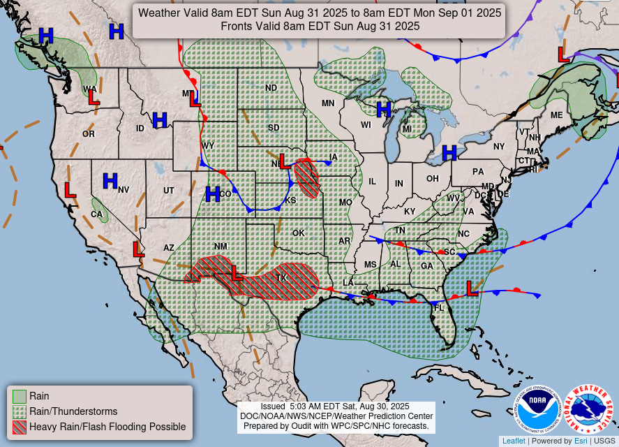 Day 2 image not available