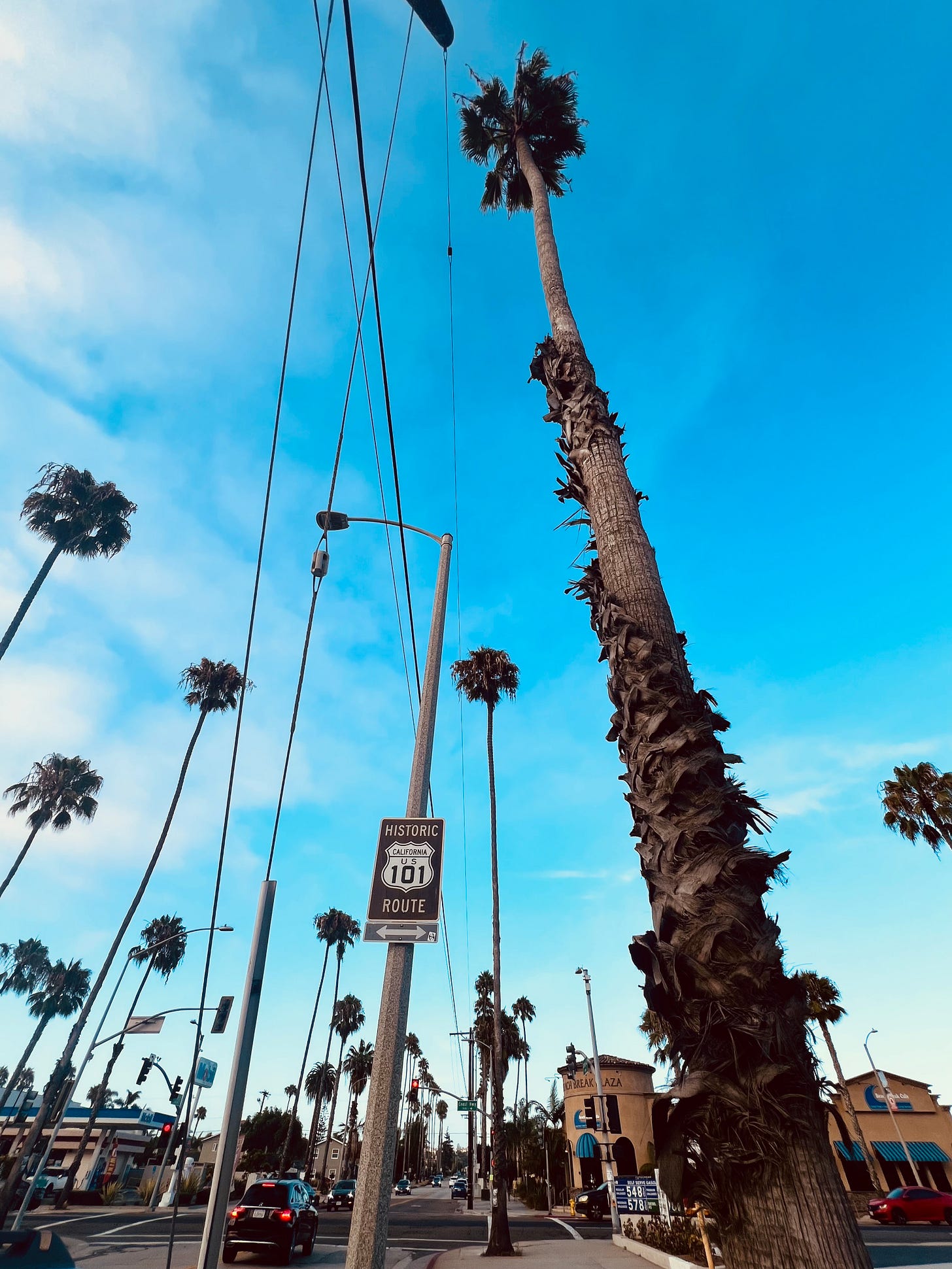 Historic Route 101 sign on pole, palm trees against blue sky.