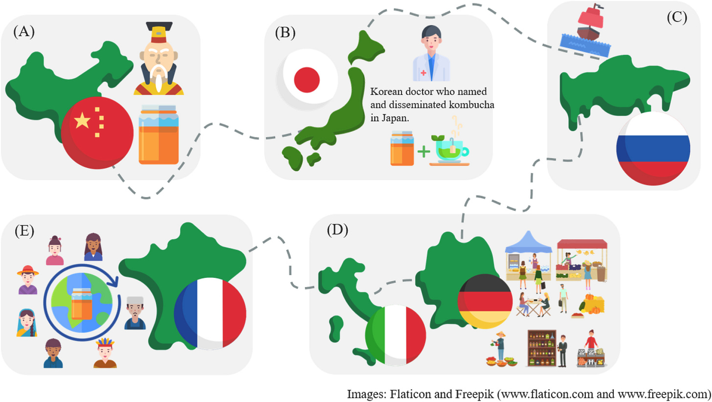 Historical map showing kombucha origin in China and spread through Asia and Europe via trade routes Historical map showing kombucha origin in China and spread through Asia and Europe via trade routes