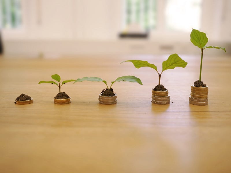 seedlings balanced on small stacks of coins