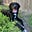 Ginger's avatar