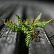 The Dark Flux