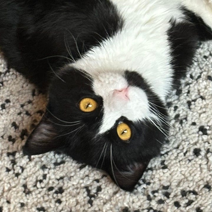 A gallery of four close-cropped photos of Benny's face from images within the post.