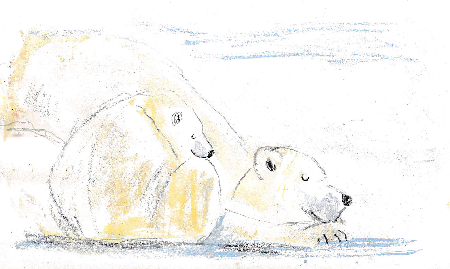 polar bears napping by Beth Spencer polar bears napping by Beth Spencer
