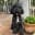 Landscape Artist's avatar