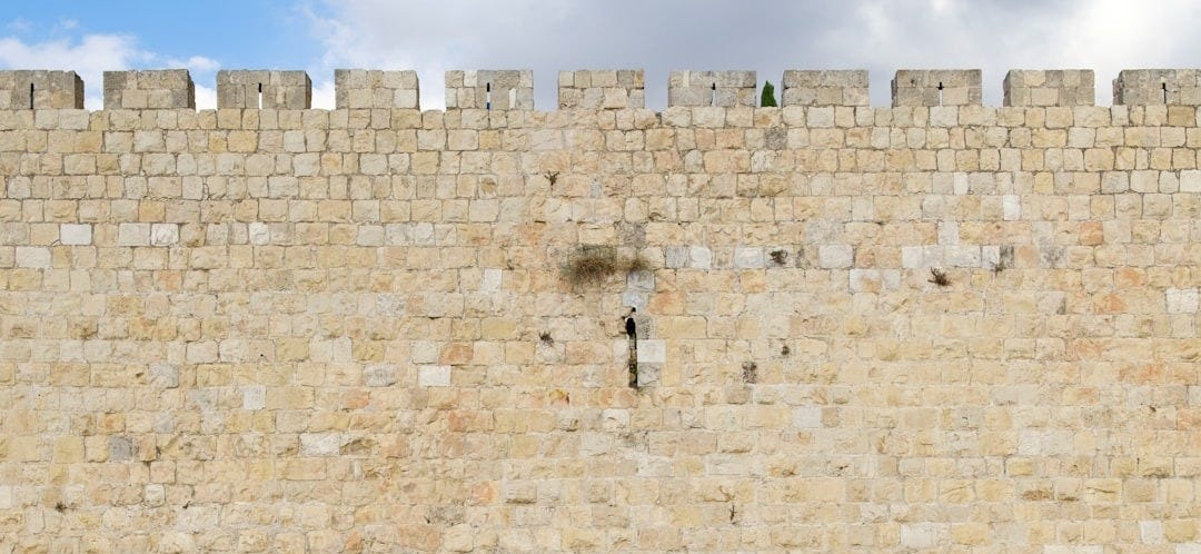 two person walking beside beige brick wall