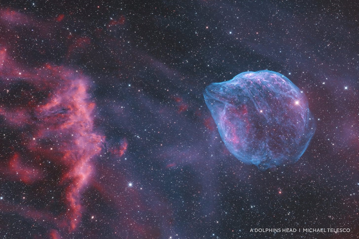 Colorful nebula in space, featuring a blue and pink cloud formation resembling a dolphin's head, shines brightly against a star-filled background—an awe-inspiring scene among 2025 night sky images.