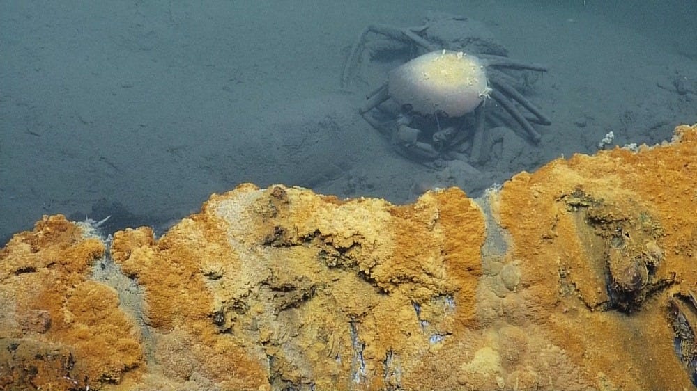 brine-pool-8