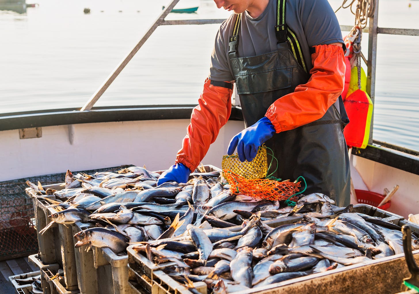 a fisher on a boat with crates of fish a fisher on a boat with crates of fish