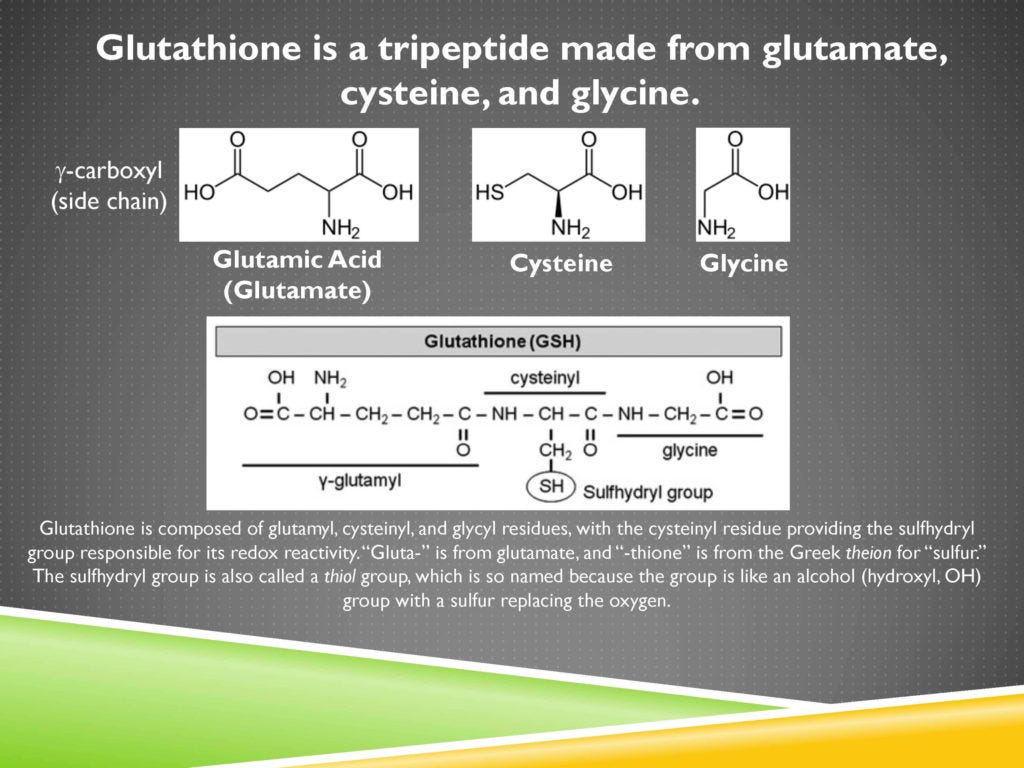 glutathione composed of cysteine glycine glutamate 6. Introduction to Glutathione