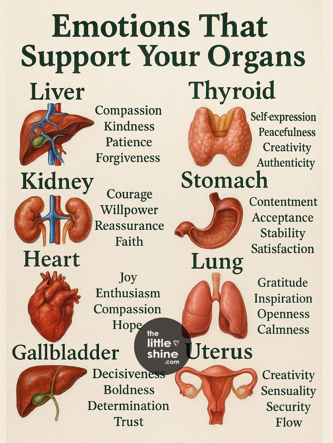 May be an image of text that says "Emotions That Support Your Organs Liver Thyroid Compassion Self-expression Kindness Peacefulness Patience Creativity Forgiveness Authenticity Kidney Stomach 十 Reassurance Courage Contentment Willpower Acceptance Faith Stability Heart Satisfaction Lung Gratitude Inspiration Openness Calmness Uterus Joy Enthusiasm Compassion Hope the Gallbladder little ٣ shine .com Decisiveness Boldness Determination Trust Creativity Sensuality Security Flow"
