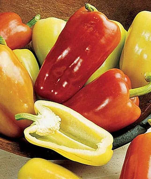 Gypsy Pepper