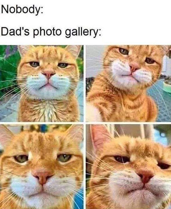 r/meme - Frrrr r/meme - Frrrr