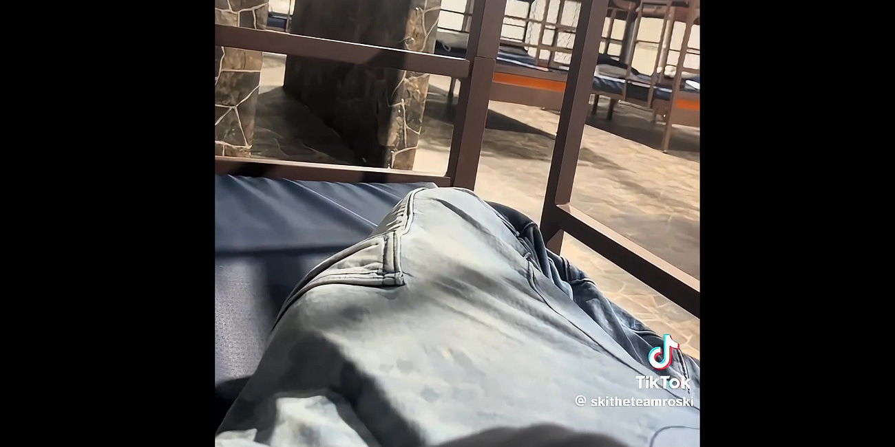 Clips of Alligator Auschwitz Thanks to Disgruntled Former Employee