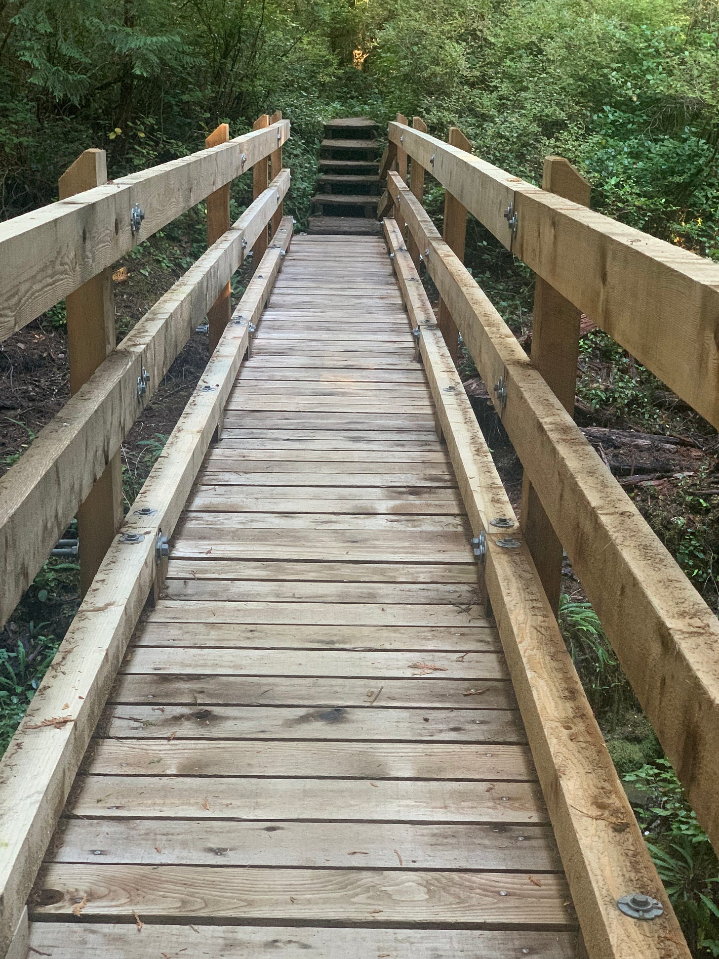 A wooden bridge leading to stairs built into a trail through a Pacific Northwest rainforest