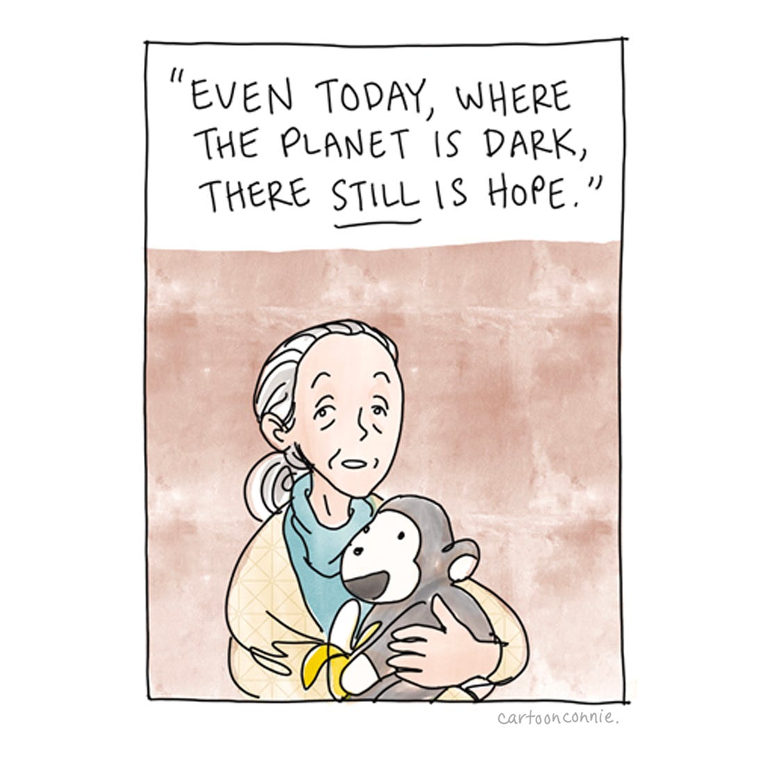 Panel 4 of 4. Illustration of Jane Goodall later in life with "Mr. H" a famous plush monkey she traveled with, a gift from a friend that reminded her of the indomitable spirit of individuals. The illustration is paired with a quote from her "Famous Last Words" interview. Drawn by Connie Sun, cartoonconnie, 2025.