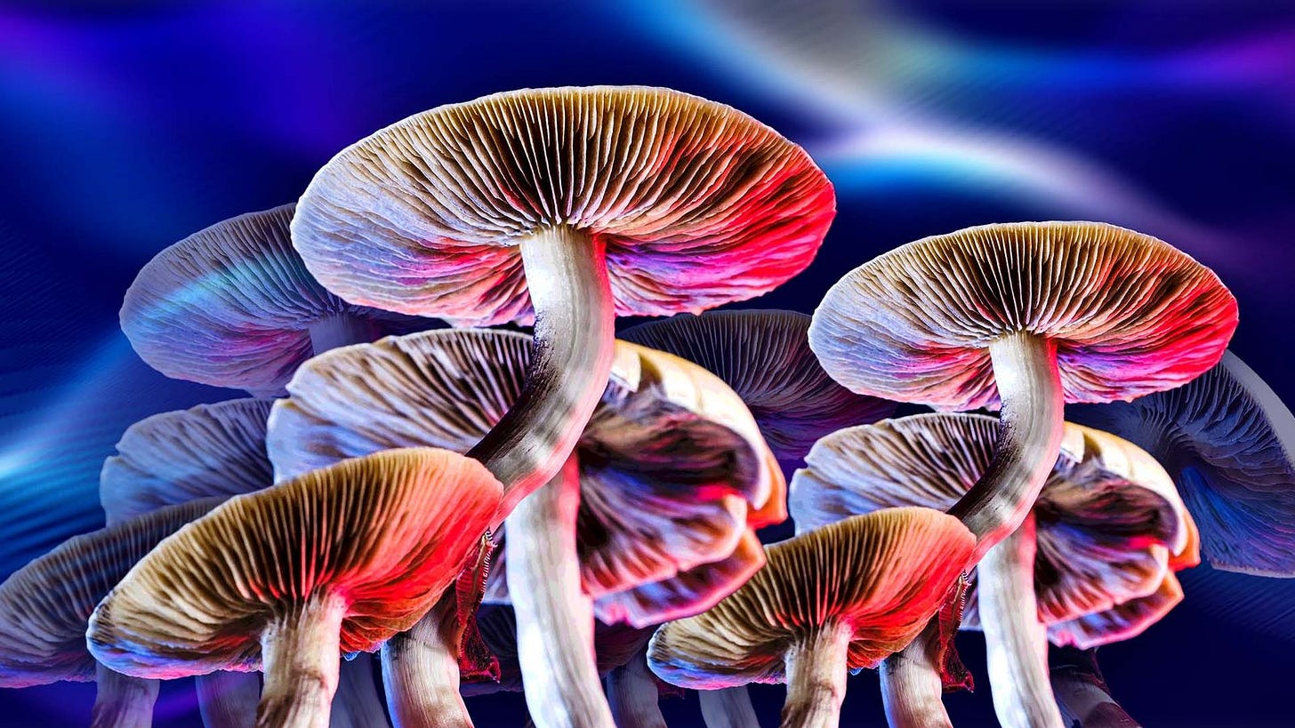 Mushrooms and music: The exploration of psychedelic gigs | Ents & Arts ...