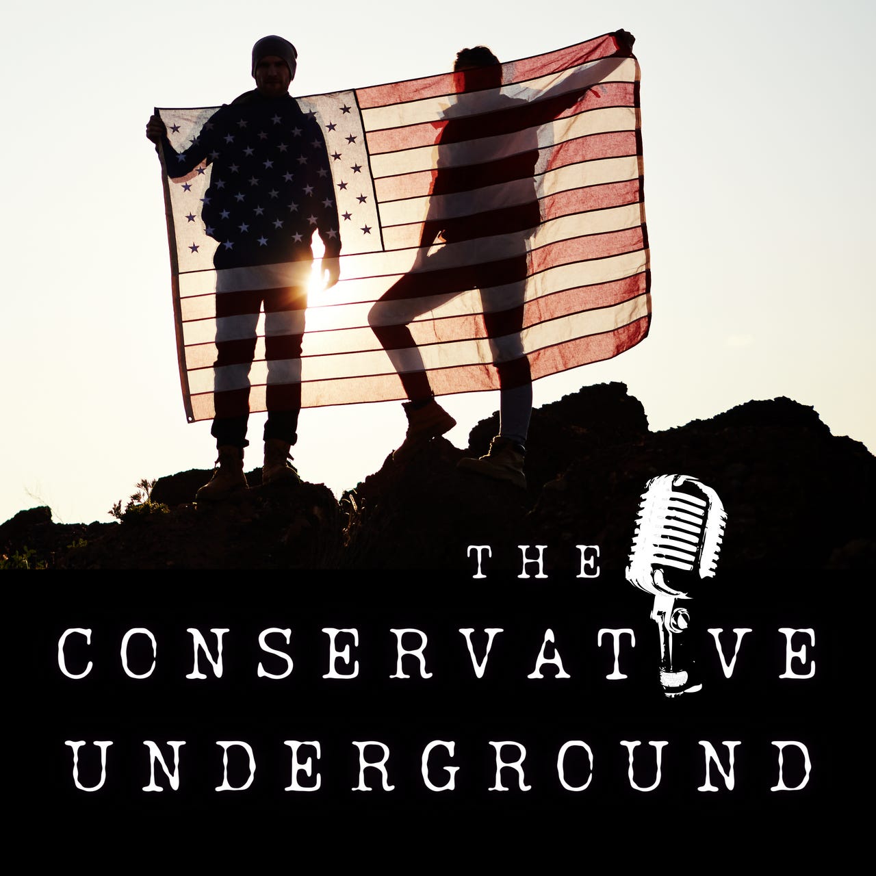 The Conservative Underground