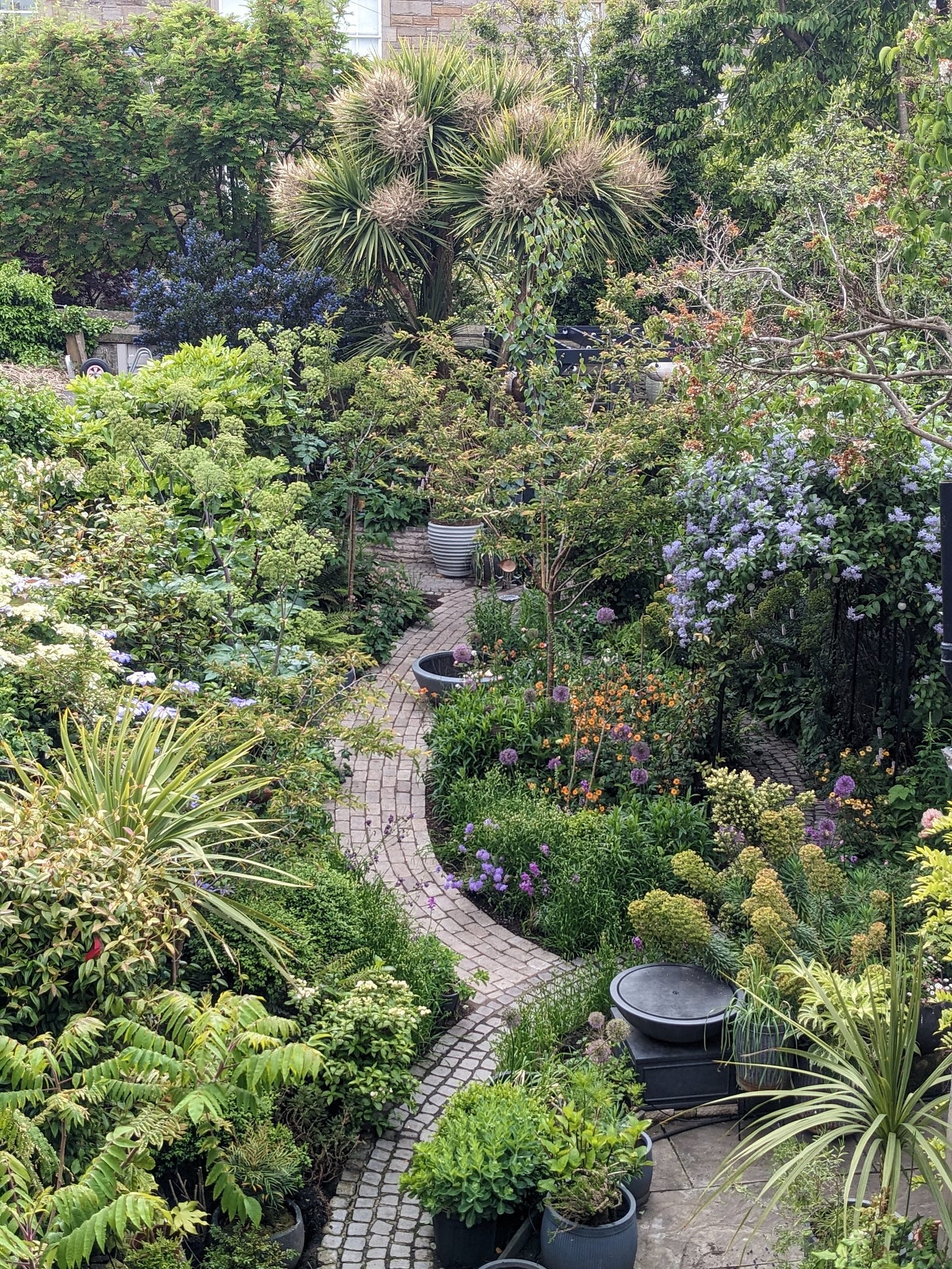 A beautiful, lush backyard filled with vegetation. You can just see the cobblestone paths and seating elements that make this such a well designed yard A beautiful, lush backyard filled with vegetation. You can just see the cobblestone paths and seating elements that make this such a well designed yard
