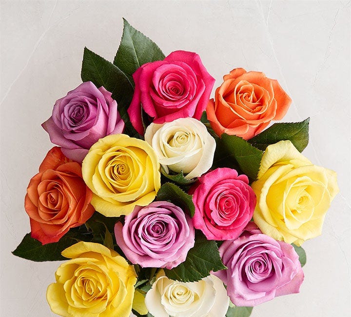 Roses on Thursday