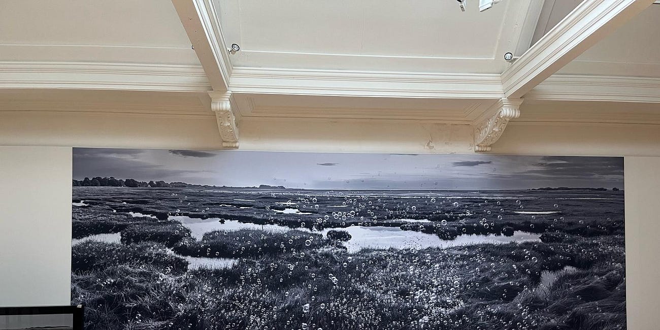 Secret wonders of unloved ‘blandscape’ revealed