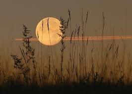 What Is the Harvest Moon? | Harvest Moon Facts and Folklore | The Old Farmer's Almanac What Is the Harvest Moon? | Harvest Moon Facts and Folklore | The Old Farmer's Almanac