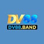 DV88's avatar