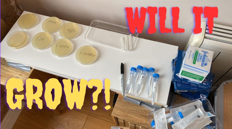 Culturing Yeast for Independent Science Experiments