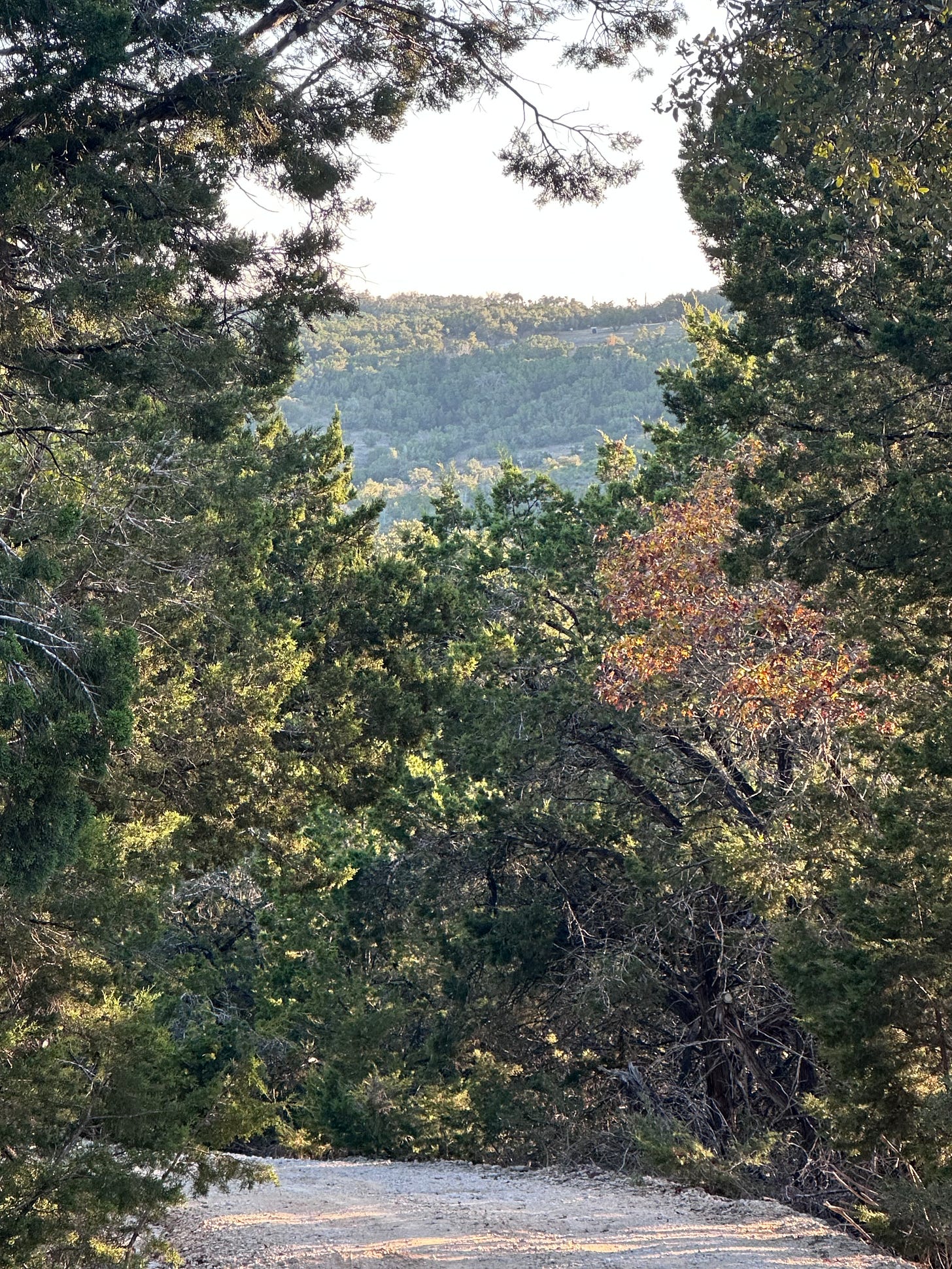 Wimberley TX vista