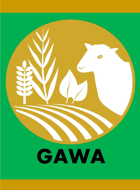 Gawa Gawa