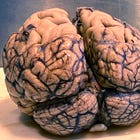 Tamiflu Autism and 100 other Mental Disorders